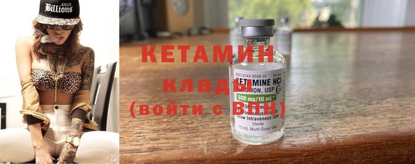 твердый Новозыбков