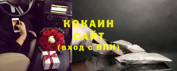 твердый Новозыбков