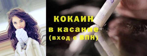 твердый Новозыбков