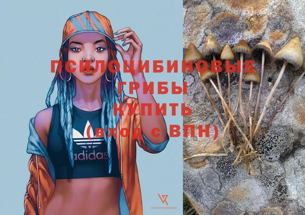 твердый Новозыбков