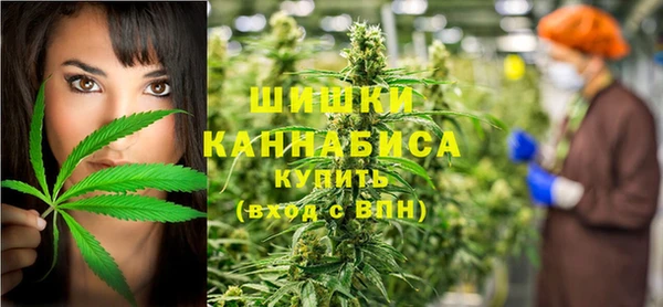 твердый Новозыбков