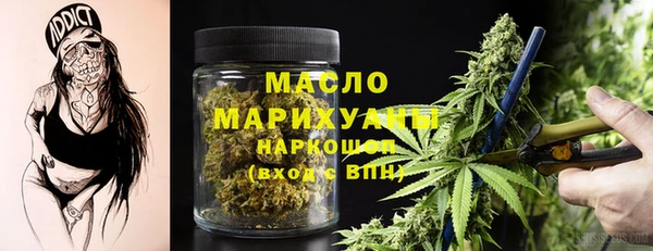 твердый Новозыбков