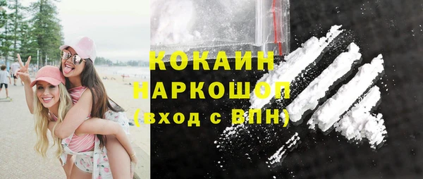 твердый Новозыбков